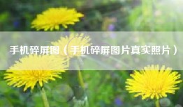 手机碎屏图（手机碎屏图片真实照片）