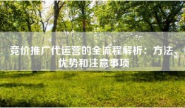 竞价推广代运营的全流程解析：方法、优势和注意事项
