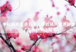 手机扬声器声音小（手机扬声器声音小了怎么恢复正常）