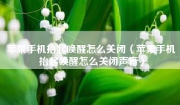 苹果手机抬起唤醒怎么关闭（苹果手机抬起唤醒怎么关闭声音）