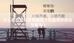 什么是百度的竞价排名（百度竞价排名又称为）
