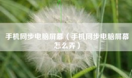 手机同步电脑屏幕（手机同步电脑屏幕怎么弄）