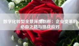 数字化转型全景深度剖析：企业变革的必由之路与挑战应对