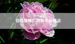 信息流推广哪些平台好点