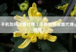 手机如何设置代理（手机如何设置代理ip链接）