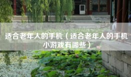 适合老年人的手机（适合老年人的手机小游戏有哪些）
