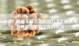 必读！啥都不懂怎么出国打工？细数劳务外派国家和工作的优劣