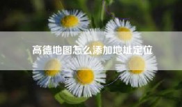 高德地图怎么添加地址定位