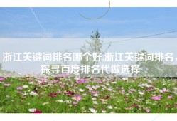 浙江关键词排名哪个好,浙江关键词排名，探寻百度排名代做选择