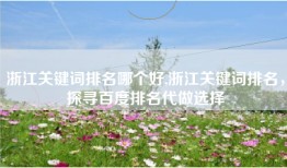 浙江关键词排名哪个好,浙江关键词排名，探寻百度排名代做选择