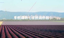 手机调色（手机调色彩）