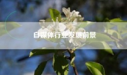 自媒体行业发展前景