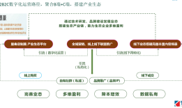 创业公司应该如何在数字化转型中打造数字化营销模式？