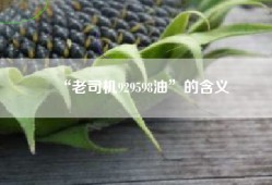 “老司机929598油”的含义