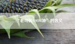 “老司机929598油”的含义