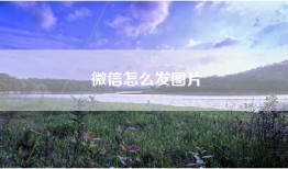 微信怎么发图片