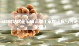 SEO网站优化策略详解（掌握密度与内链策略）