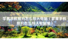 苹果手机照片怎么导入电脑（苹果手机照片怎么导入电脑里）