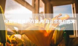 电商运营推广方案, 电商运营推广方案