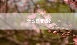 什么是非遗？