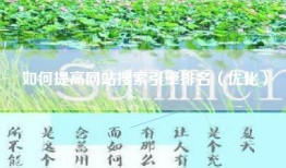 如何提高网站搜索引擎排名（优化）