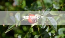 搜索引擎使用