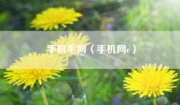 手机毛网（手机网e）