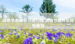 清明节有哪些习俗习惯 清明节吃什么传统食物