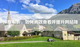 深度解析，如何高效查看并提升网站排名