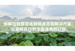 拆解互联数智金融精准营销解决方案：从策略执行到全面落地的过程