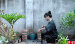 央视都赞她火遍全球，李子柒凭什么？