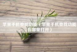 苹果手机查找功能（苹果手机查找功能在哪里打开）