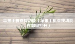 苹果手机查找功能（苹果手机查找功能在哪里打开）