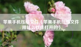 苹果手机压缩文件（苹果手机压缩文件用什么软件打开的）