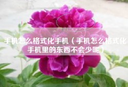 手机怎么格式化手机（手机怎么格式化手机里的东西不会少呢）