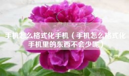 手机怎么格式化手机(手机怎么格式化手机里的东西不会少呢)