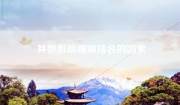 其他影响视频排名的因素