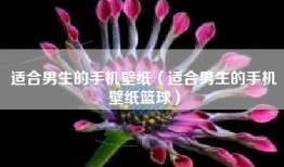 适合男生的手机壁纸（适合男生的手机壁纸篮球）