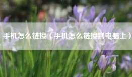 手机怎么链接（手机怎么链接到电脑上）