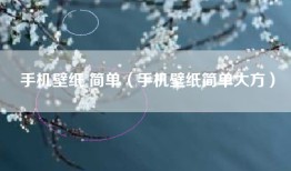 手机壁纸 简单（手机壁纸简单大方）
