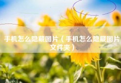 手机怎么隐藏图片（手机怎么隐藏图片文件夹）
