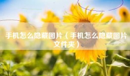 手机怎么隐藏图片（手机怎么隐藏图片文件夹）