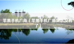 苹果手机广角（苹果手机广角突然没有了）