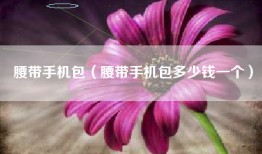 腰带手机包（腰带手机包多少钱一个）