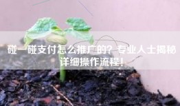碰一碰支付怎么推广的？专业人士揭秘详细操作流程！