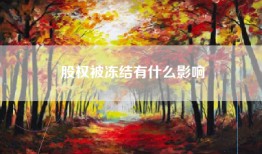 股权被冻结有什么影响