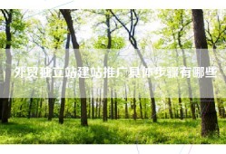 外贸独立站建站推广具体步骤有哪些