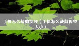 手机怎么裁剪视频（手机怎么裁剪视频大小）