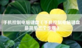 手机控制电脑键盘（手机控制电脑键盘最简单三个步骤）