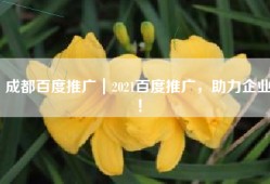 成都百度推广｜2021百度推广，助力企业！